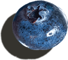 blueberry