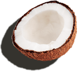 coconut