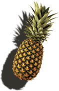 pineapple
